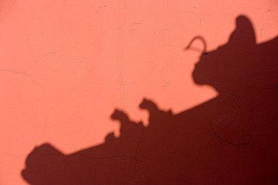 《鬼武者：剑之道》全新截图公布 新怪物介绍